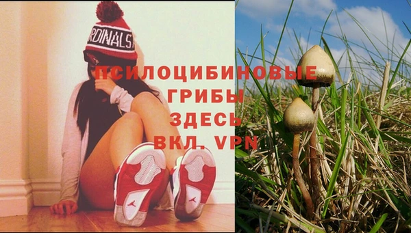 гашик Алзамай