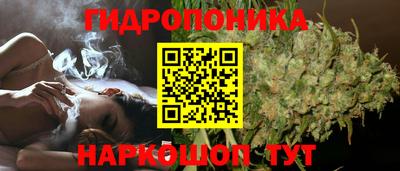 прущие крисы Владикавказ