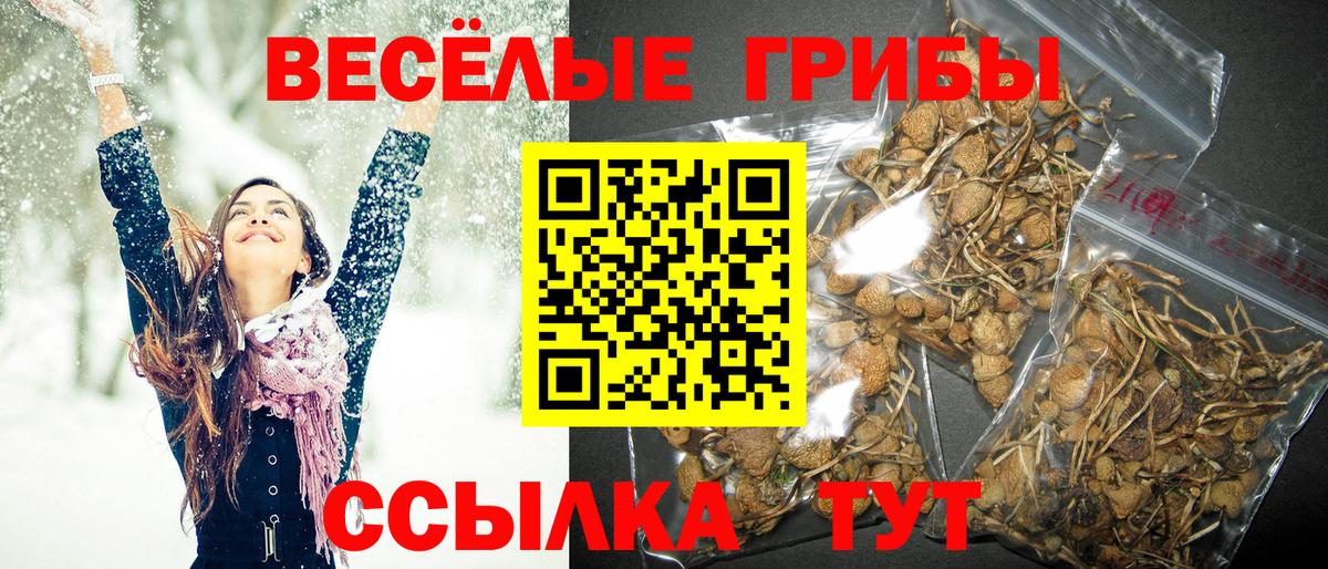 Псилоцибиновые грибы мухоморы  Вход с VPN  Большой Камень 
